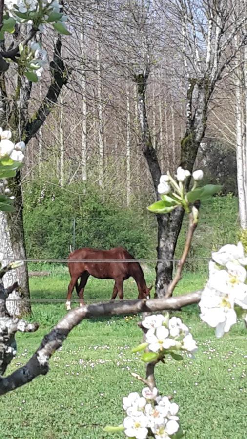 Villa Claude Cognac Zewnętrze zdjęcie
